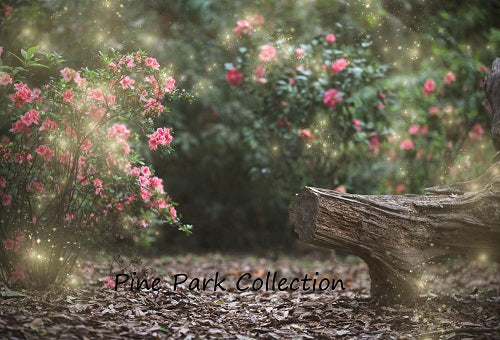 Kate Garden mit Lichterkette für die Logbank im Frühjahr Frühling Hintergrund für die Fotografie Entworfen von Pine Park Collection