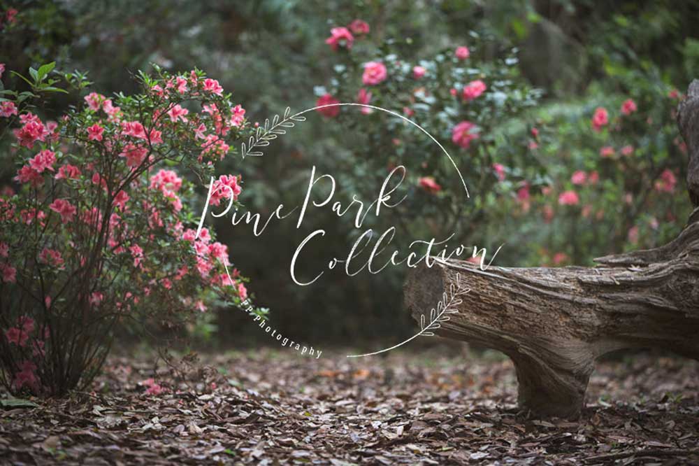 Kate Garden mit Logbank-Feder Kulisse Kulisse für Fotografie Entworfen von Pine Park Collection