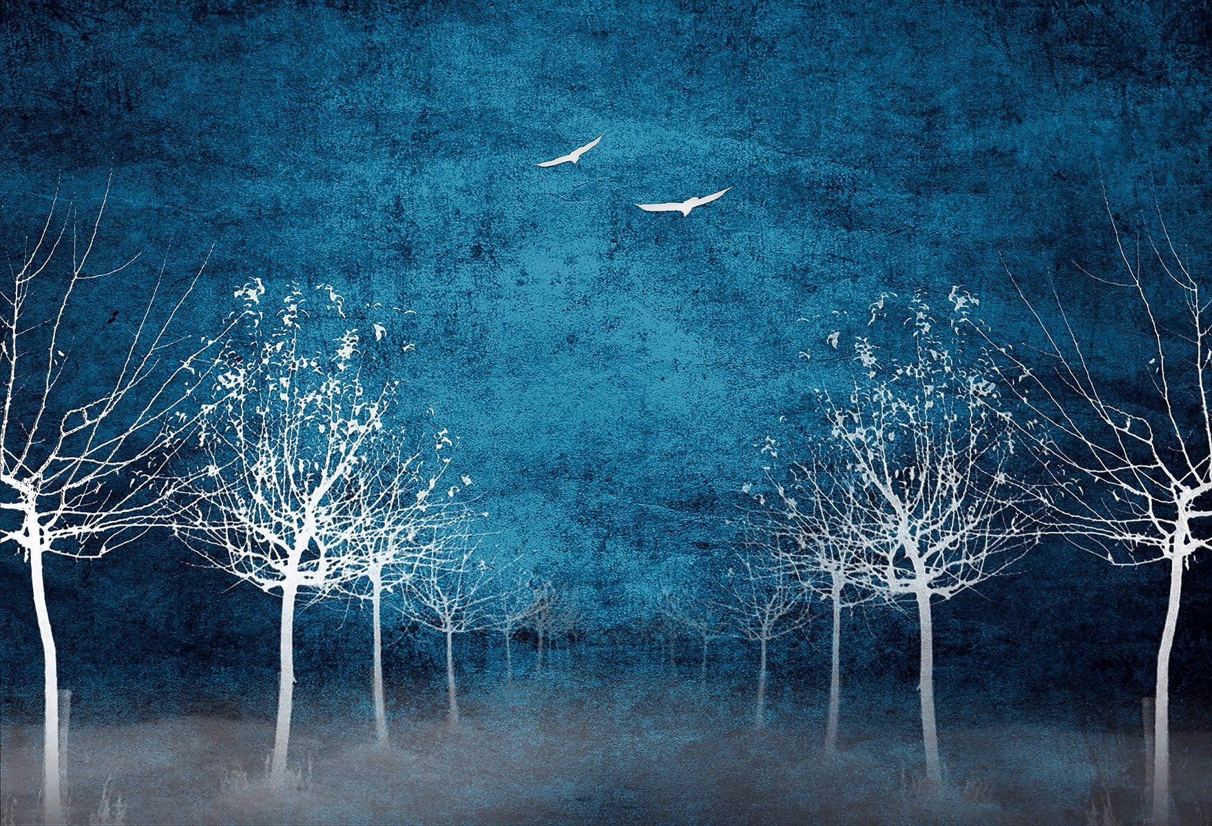 Kate White Bäume Vögel hoch Hintergrund für Fotografie Entworfen von Marina Smith