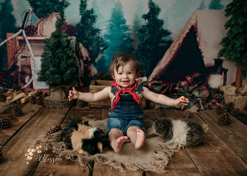 Kate Wald Geburtstag Kinder Hintergrund für Fotografie von Megan Leigh Photography - Kate Backdrop.de