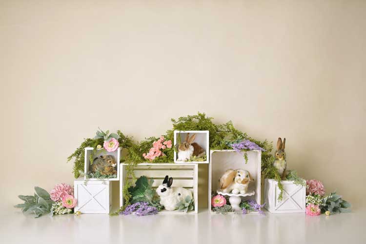 Kate Frühling Kaninchen Kinder Ostern Hintergrund für die Fotografie von Mandy Ringe-Fotografie - Kate Backdrop.de