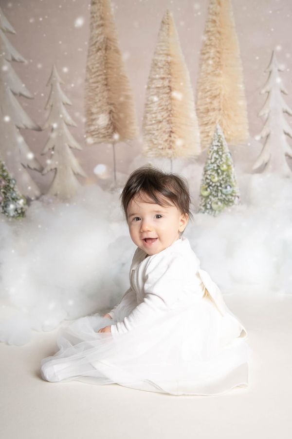 Kate  Weihnachtsbäume mit Glitter Hintergrund Weihnachten - Kate Backdrop.de