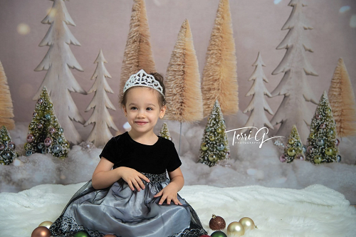 Kate  Weihnachtsbäume mit Glitter Hintergrund Weihnachten - Kate Backdrop.de