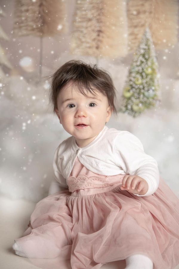 Kate  Weihnachtsbäume mit Glitter Hintergrund Weihnachten - Kate Backdrop.de
