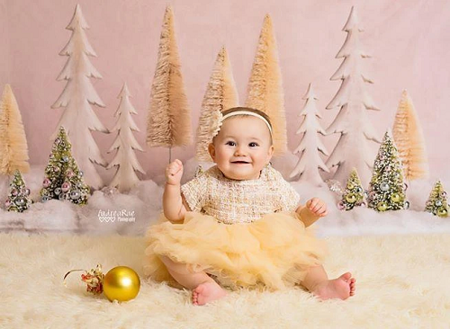 Kate  Weihnachtsbäume mit Glitter Hintergrund Weihnachten - Kate Backdrop.de