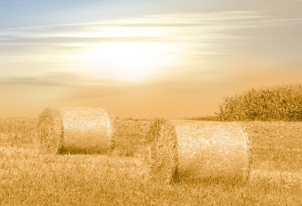 Herbst Sonnenschein Heuhaufen Feld