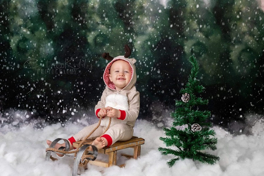 Kate Blendend Winter schneebedeckt Wald Hintergrund  für Fotografie von Modest Brushes - Kate Backdrop.de