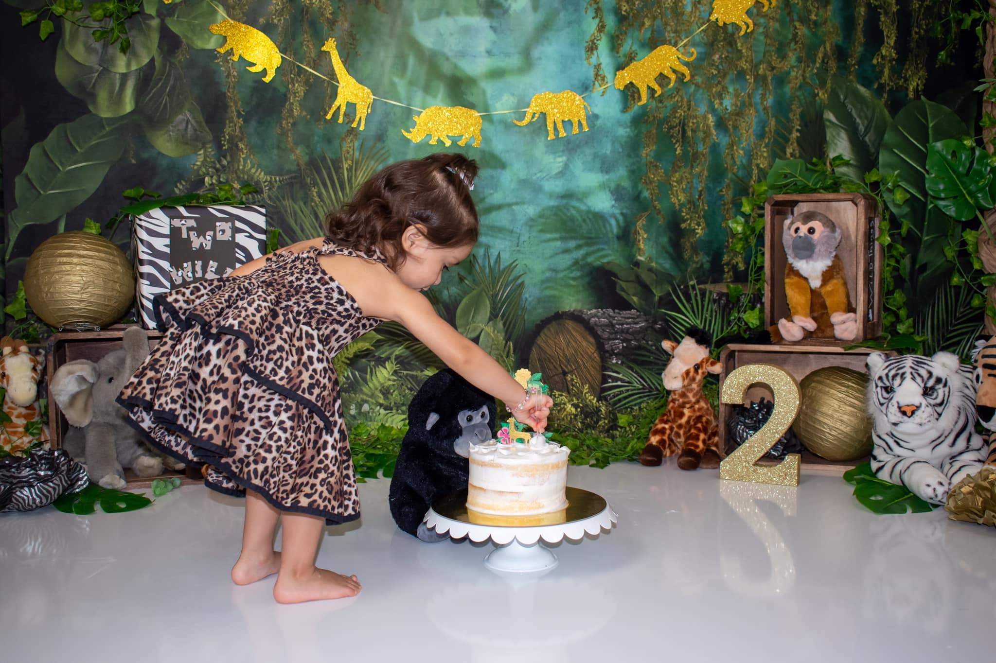 Kate Dschungel-Hintergrund Geburtstag Entworfen von Mandy Ringe Photography