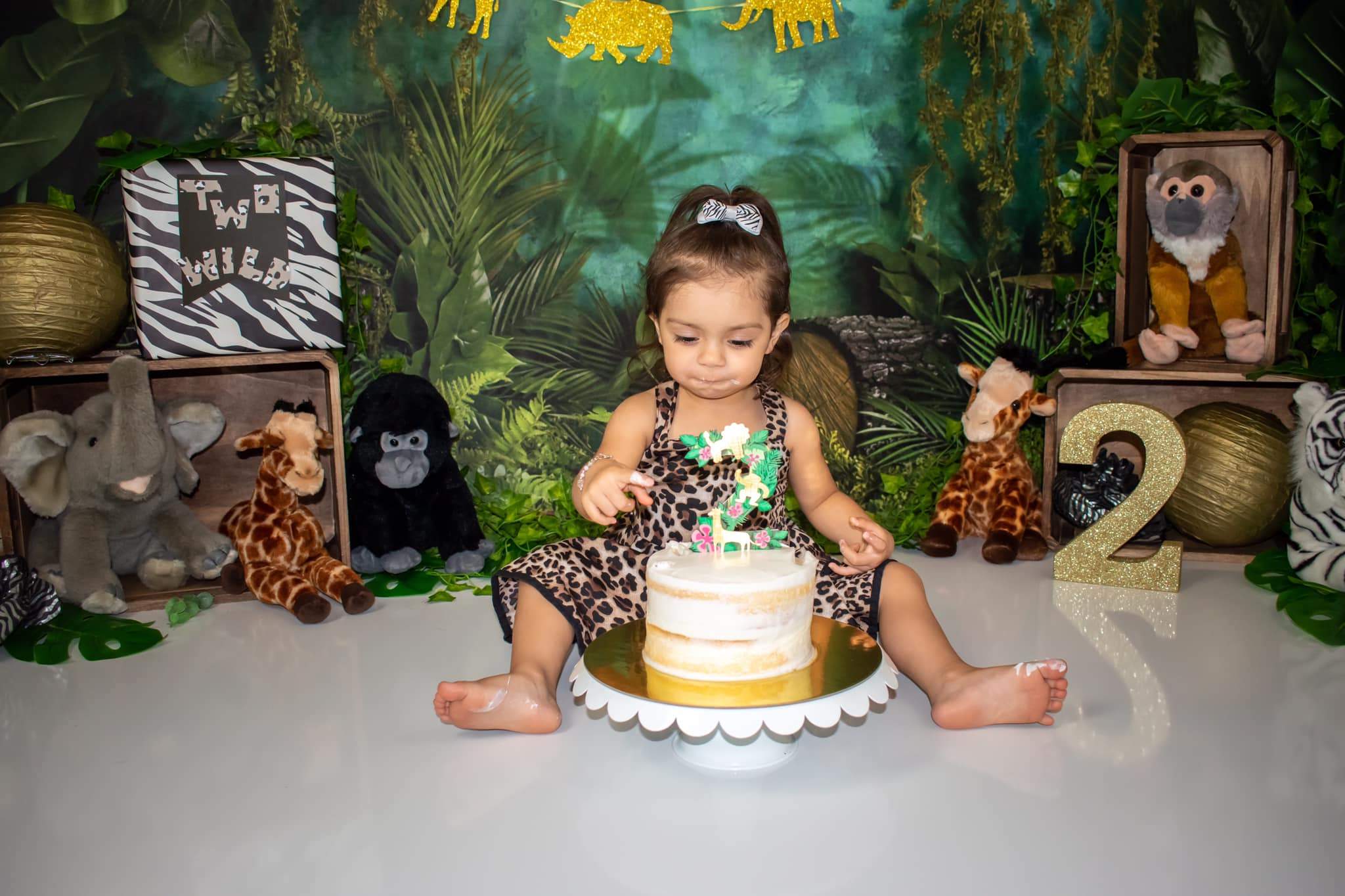 Kate Dschungel-Hintergrund Geburtstag Entworfen von Mandy Ringe Photography - Kate Backdrop.de