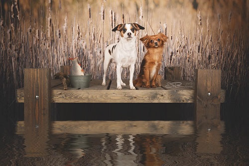 Kate Herbst Schilf Landschaft Hintergrund Entworfen von Pine Park Collection - Kate Backdrop.de