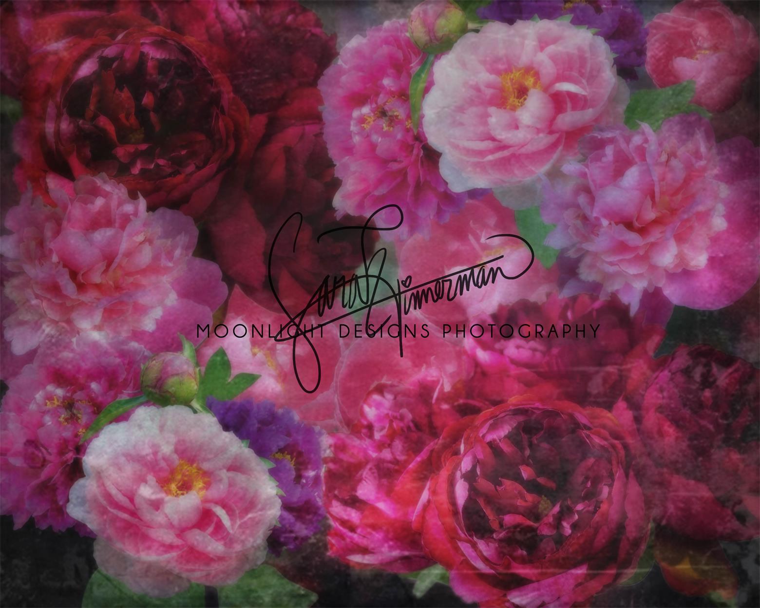 Kate rosa Blumen Frühling Muttertag Hintergrund  Entworfen von Sarah Stickney Photography