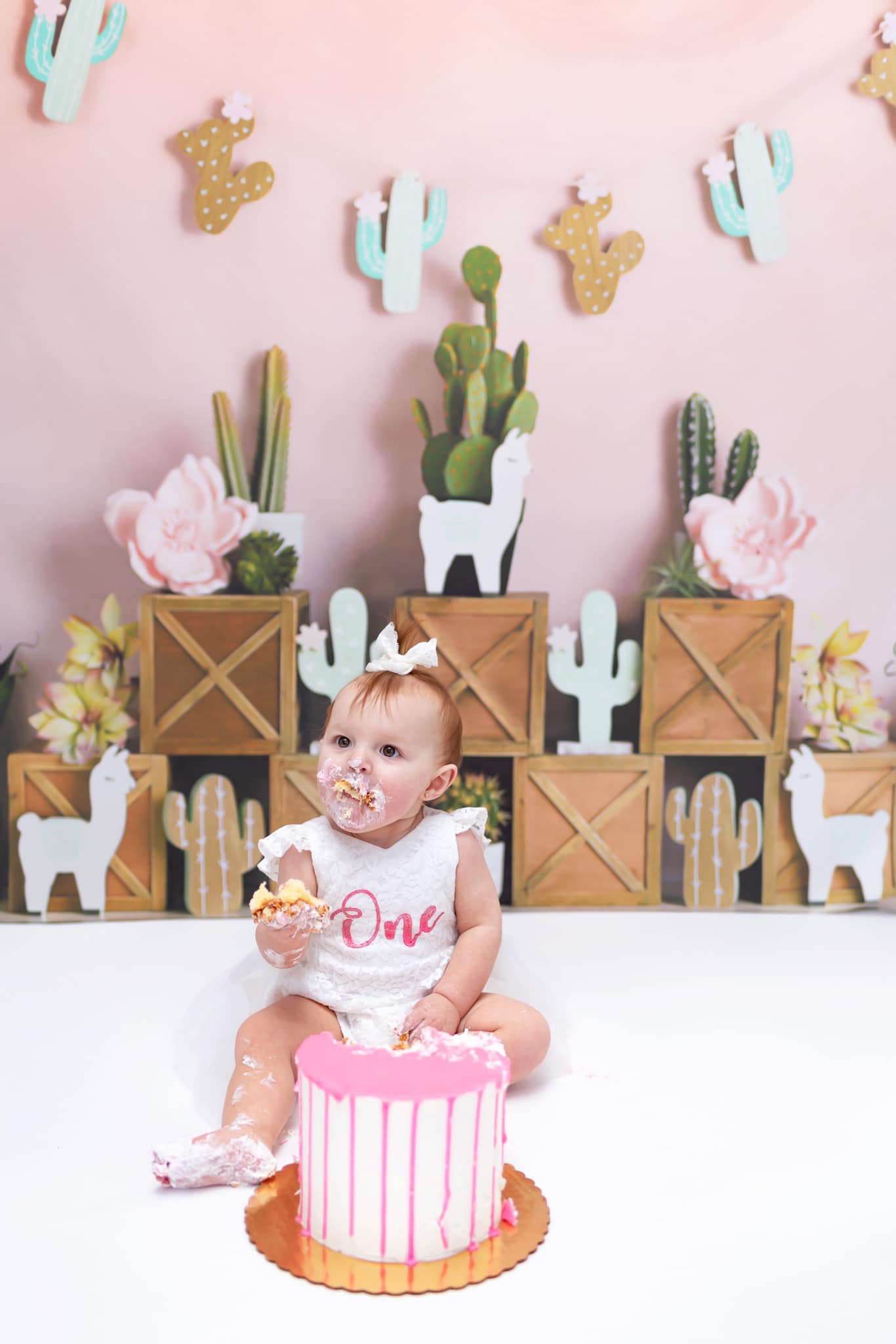 Kate Sommer  Pastelllamas mit kaktusrosa Hintergrund für Kinder Entworfen von Mandy Ringe Photography