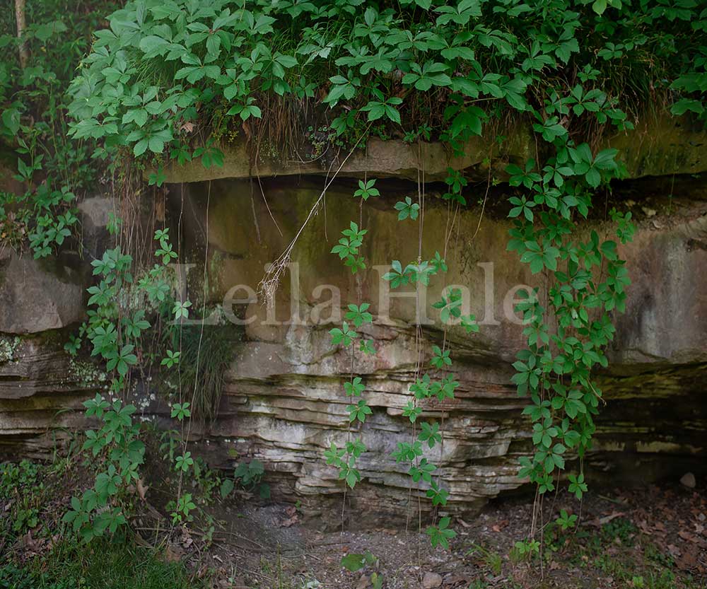 Kate Hintergrund Wand Landschaft Grünes Blatt Frühling von Leila Hale