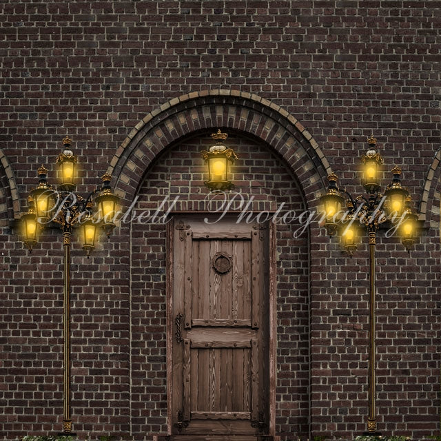 Kate Tür mit Lampen Hintergrund Entworfen von Rosabell Photography - Kate Backdrop.de