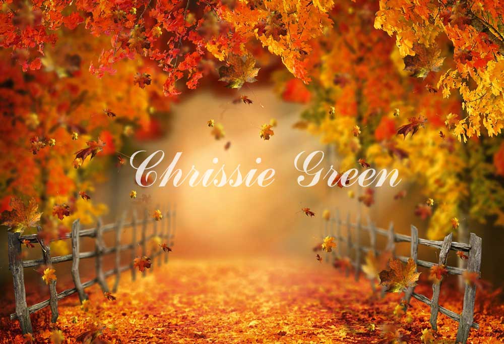 Kate Herbst Wald Hintergrund Straße von Chrissie Green