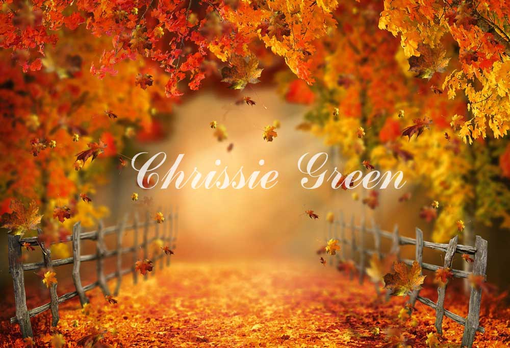 Kate Herbst Wald Hintergrund Straße von Chrissie Green - Kate Backdrop.de