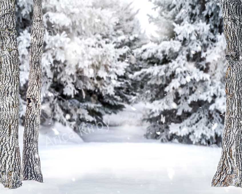 Kate Winter Weihnachten Wald Schnee Hintergrund von Arica Kirby