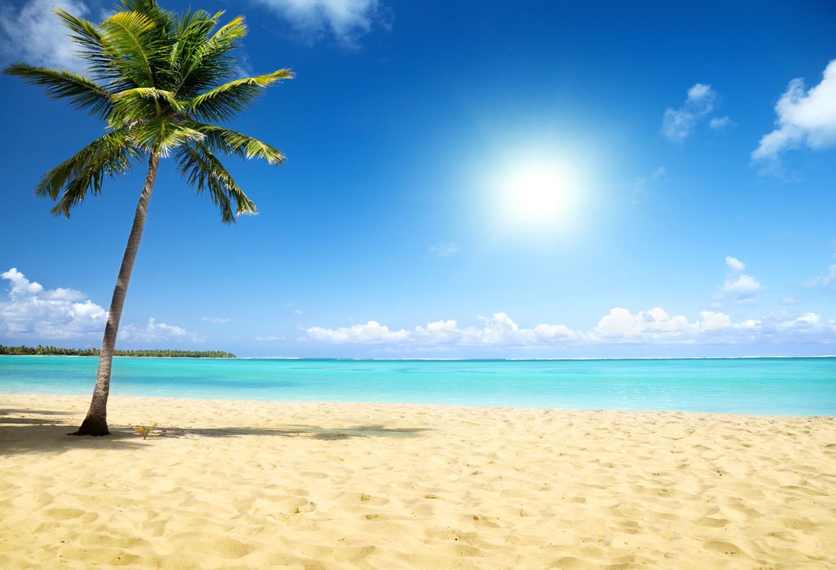 Katebackdrop£ºKate Blue Sky Sea Beach Summer Holiday Backdrop Coconut trees