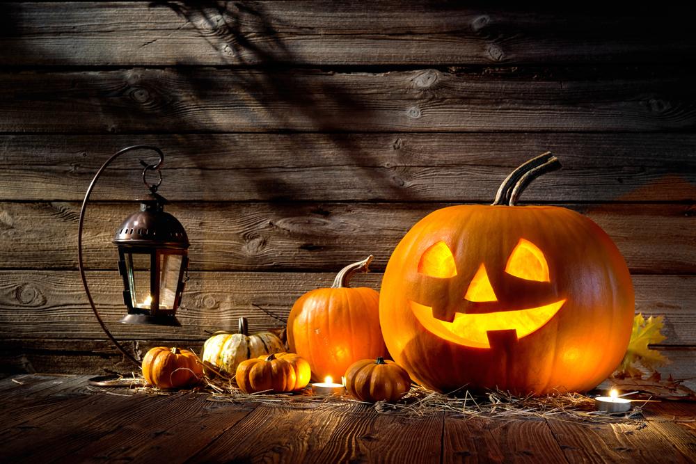 Katebackdrop：Kate Halloween Backdrop Photography Pumpkin Wooden for Pictures