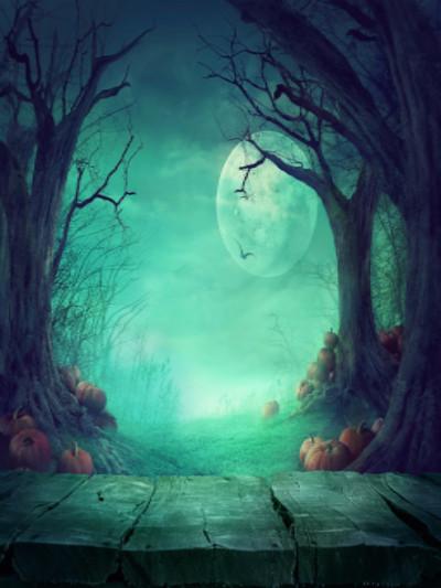 Katebackdrop：Kate Photography Fantastic Halloween Backdrops Forest Night Moon