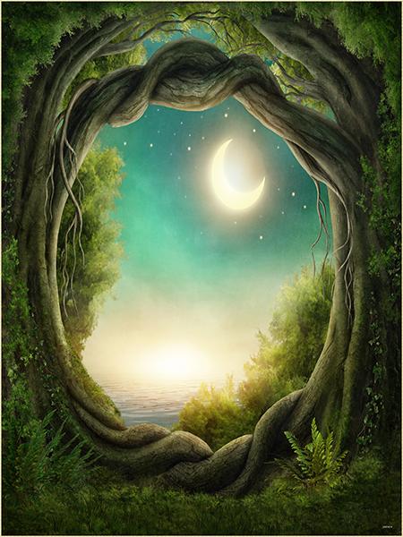Katebackdrop：Kate Fantasy Background Moon forest Photography Backdrop