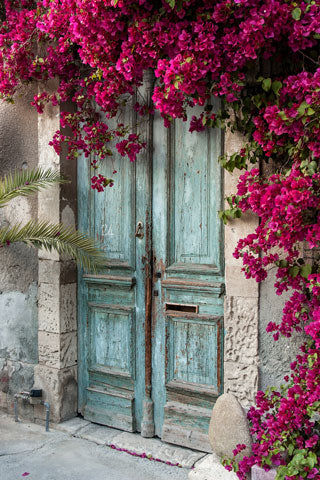 Kate Blaue Tür rote Blumen Hochzeit Frühling Hintergrund Wand