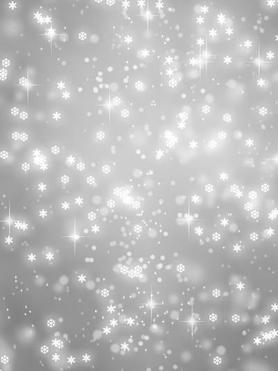 Katebackdrop：Kate Silver Wall White Snow Light Spot Backdrops For Studio
