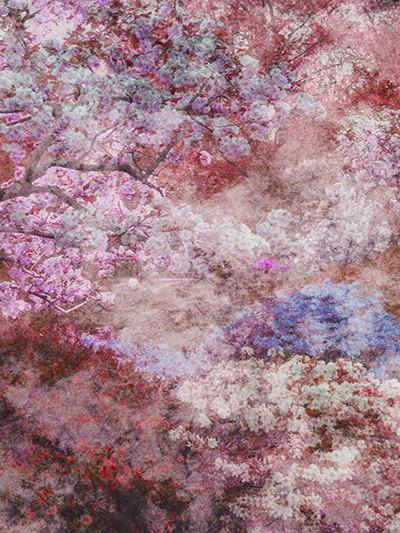 Katebackdrop：Kate Pink Flower Tree Backdrop Valentine's Day