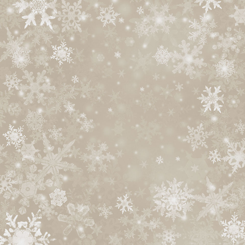 Kate Silberne Schneeflocken Schnee Winter Kinder oder Weihnachten hintergrund
