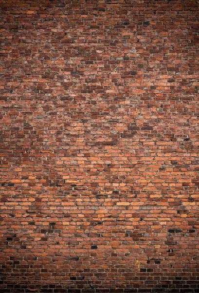 Kate Rustikaler Art-Hintergrund Brown-roter Backsteinmauer für Fotografie