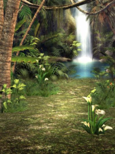 Katebackdrop：Kate Natural Scenery Green Forest Backdrops