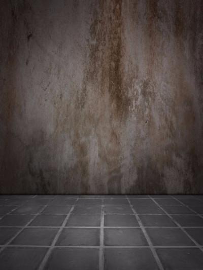 Katebackdrop：Kate Deep Gray Stone Wall Texture Backdrop With Grid Floor Photography