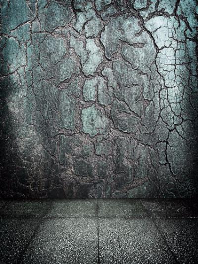 Katebackdrop：Kate Dark Gray Concrete Wall Texture Printed Backdrop