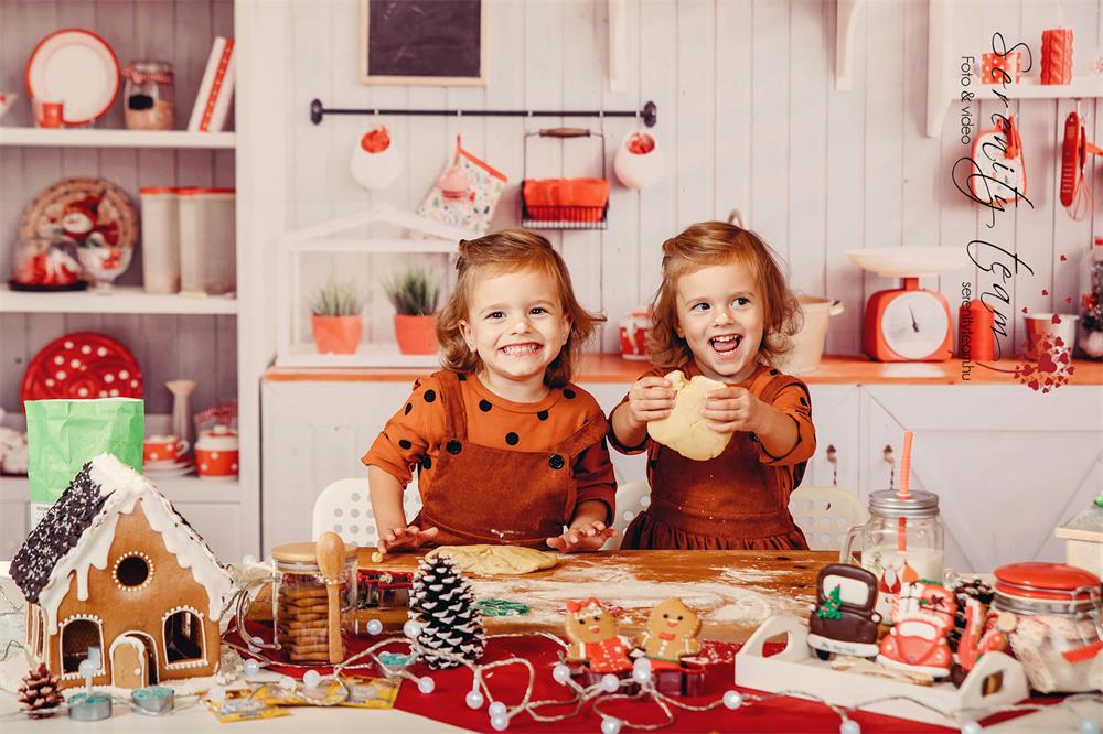 Kate  Schnee Winter  Weihnachten Küche Fotografie Hintergrund Christmas kitchen - Kate Backdrop.de