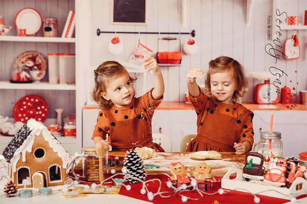 Kate  Schnee Winter  Weihnachten Küche Fotografie Hintergrund Christmas kitchen - Kate Backdrop.de