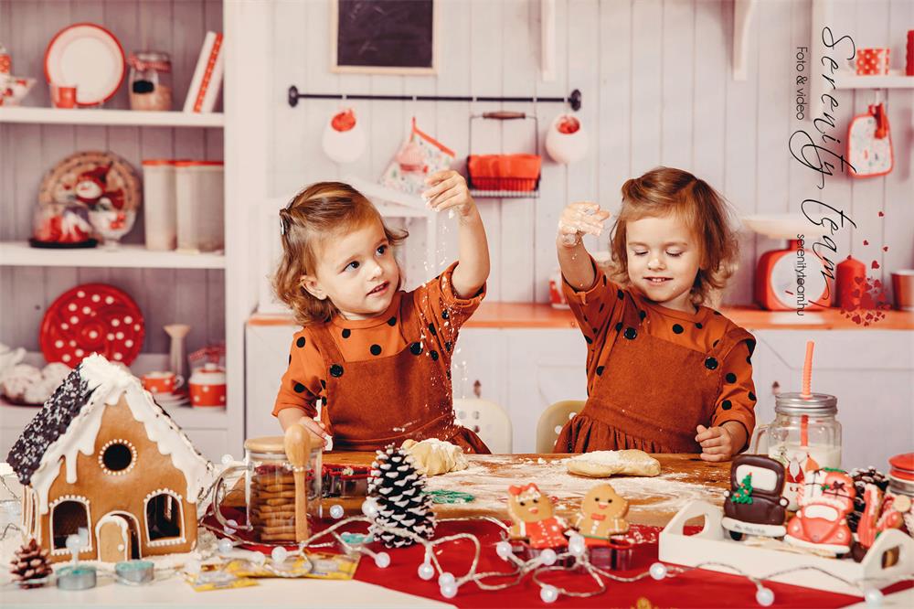 Kate  Schnee Winter  Weihnachten Küche Fotografie Hintergrund Christmas kitchen