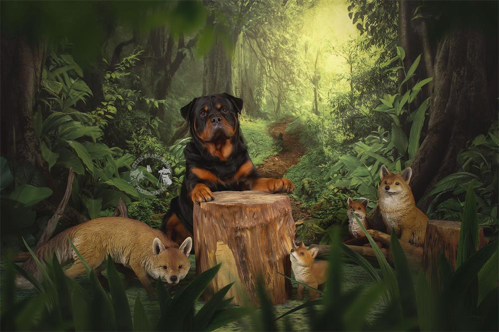 Kate Wald mit grünen Bäumen und Bach Frühling zum Fotografieren - Kate Backdrop.de