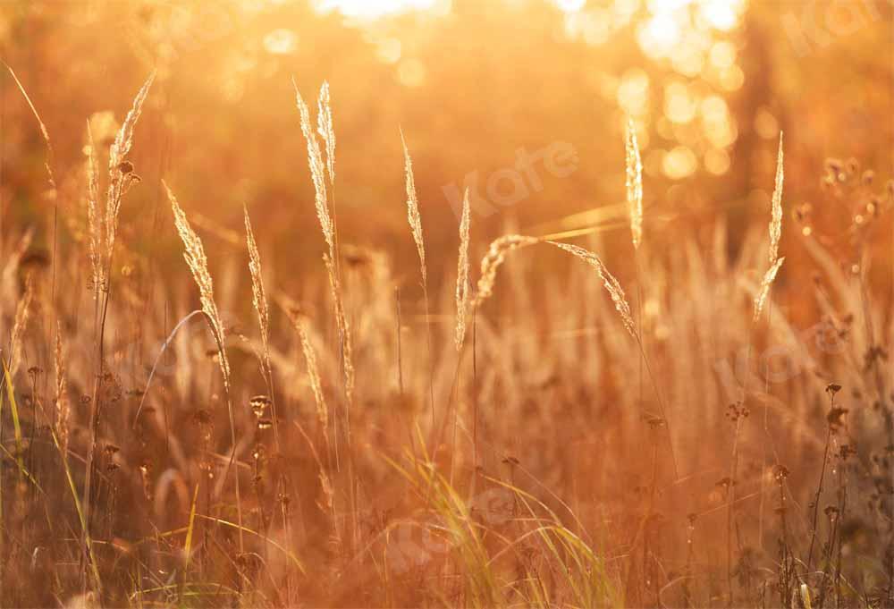 Kate Herbst Sonnenuntergang Hintergrund Wiese von Chain Photography - Kate Backdrop.de