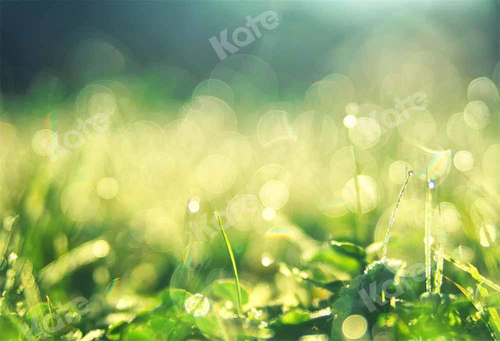 Kate Frühling Morgen Hintergrund Tau Bokeh von Chain Photography