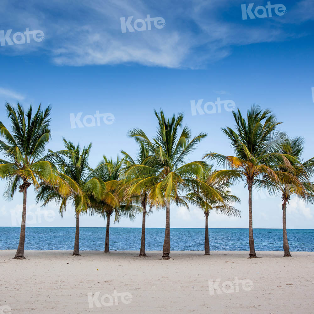 Kate Sommer Strand Hintergrund Kokosnussbaum von Chain Photography