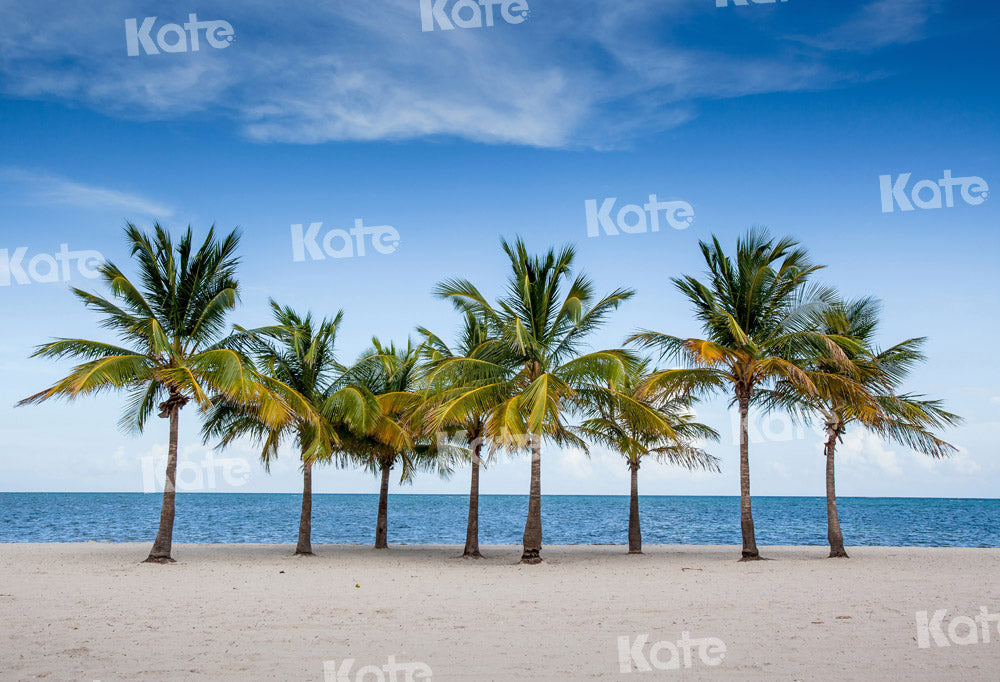 Kate Sommer Strand Hintergrund Kokosnussbaum von Chain Photography