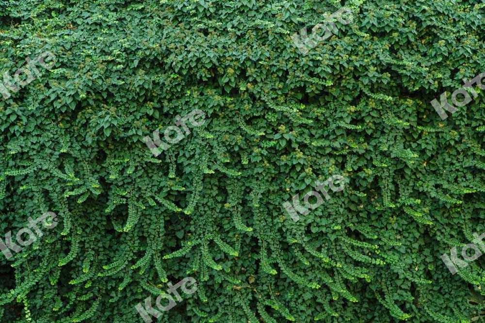 Kate Sommer Wand Hintergrund Grüne Blätter Hochzeit von Chain Photography