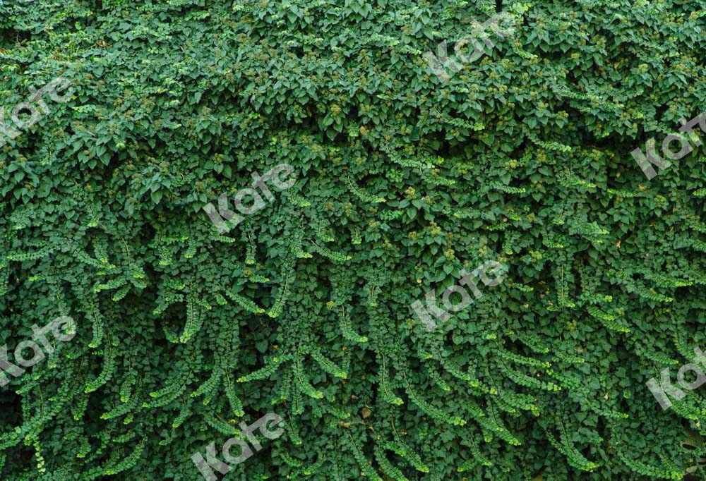 Kate Sommer Wand Hintergrund Grüne Blätter Hochzeit von Chain Photography - Kate Backdrop.de