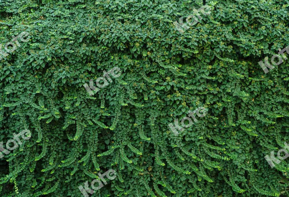 Kate Sommer Wand Hintergrund Grüne Blätter Hochzeit von Chain Photography