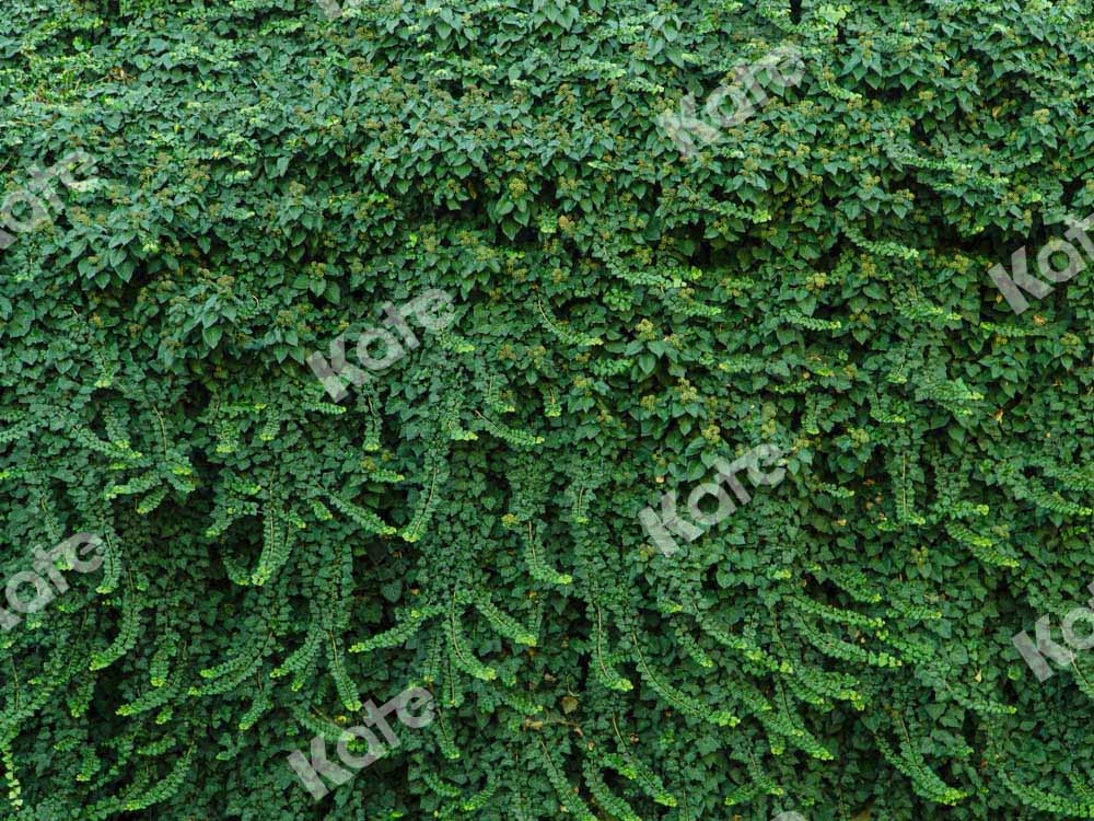 Kate Sommer Wand Hintergrund Grüne Blätter Hochzeit von Chain Photography