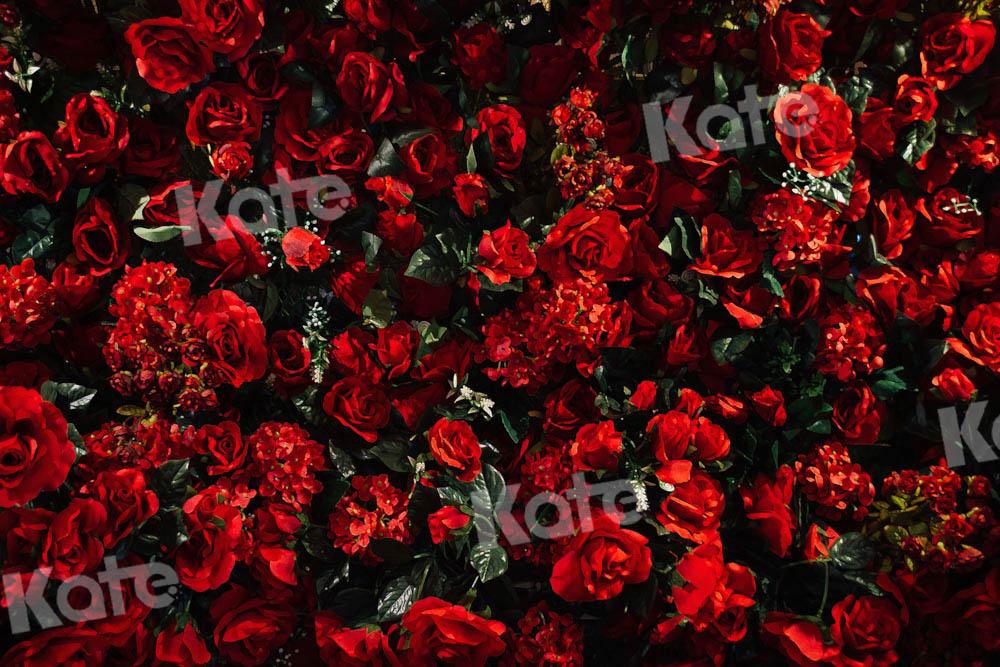Kate Valentinstag Hintergrund Rose von Chain Photography