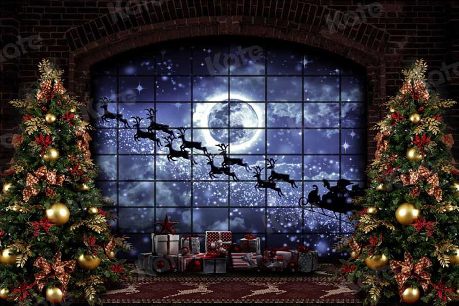 Kate Weihnachten Fenster Schlitten Hintergrund Elch für die Fotografie - Kate Backdrop.de