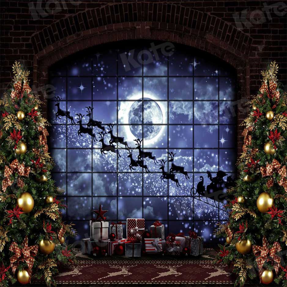 Kate Weihnachten Fenster Schlitten Hintergrund Elch für die Fotografie - Kate Backdrop.de