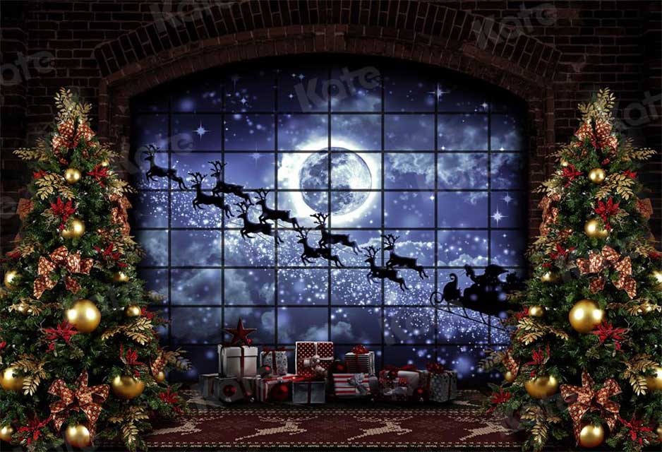Kate Weihnachten Fenster Schlitten Hintergrund Elch für die Fotografie - Kate Backdrop.de