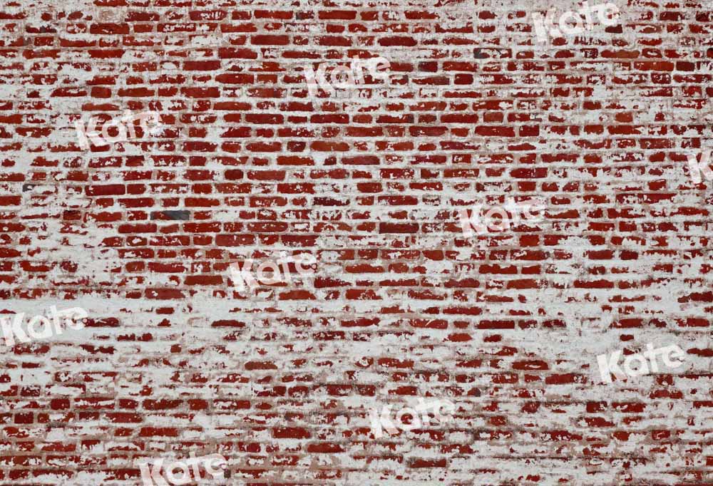 Kate roter baufälliger Backsteinmauer Hintergrund von Chain Photography